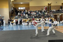 Międzywojewódzkie Mistrzostwa Młodzików w Taekwondo Olimpijskim