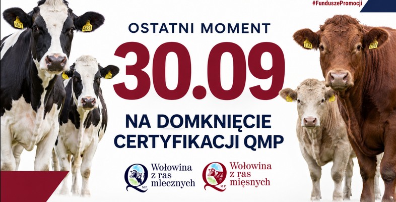 Certyfikat QMP 