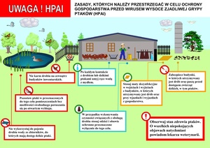 Zasady ochrony drobiu przed chorobą HPAI